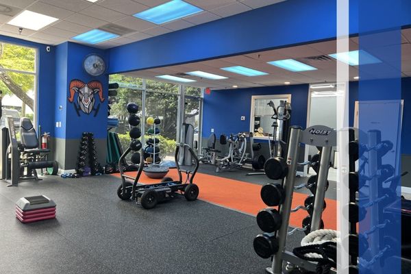 gym equipment